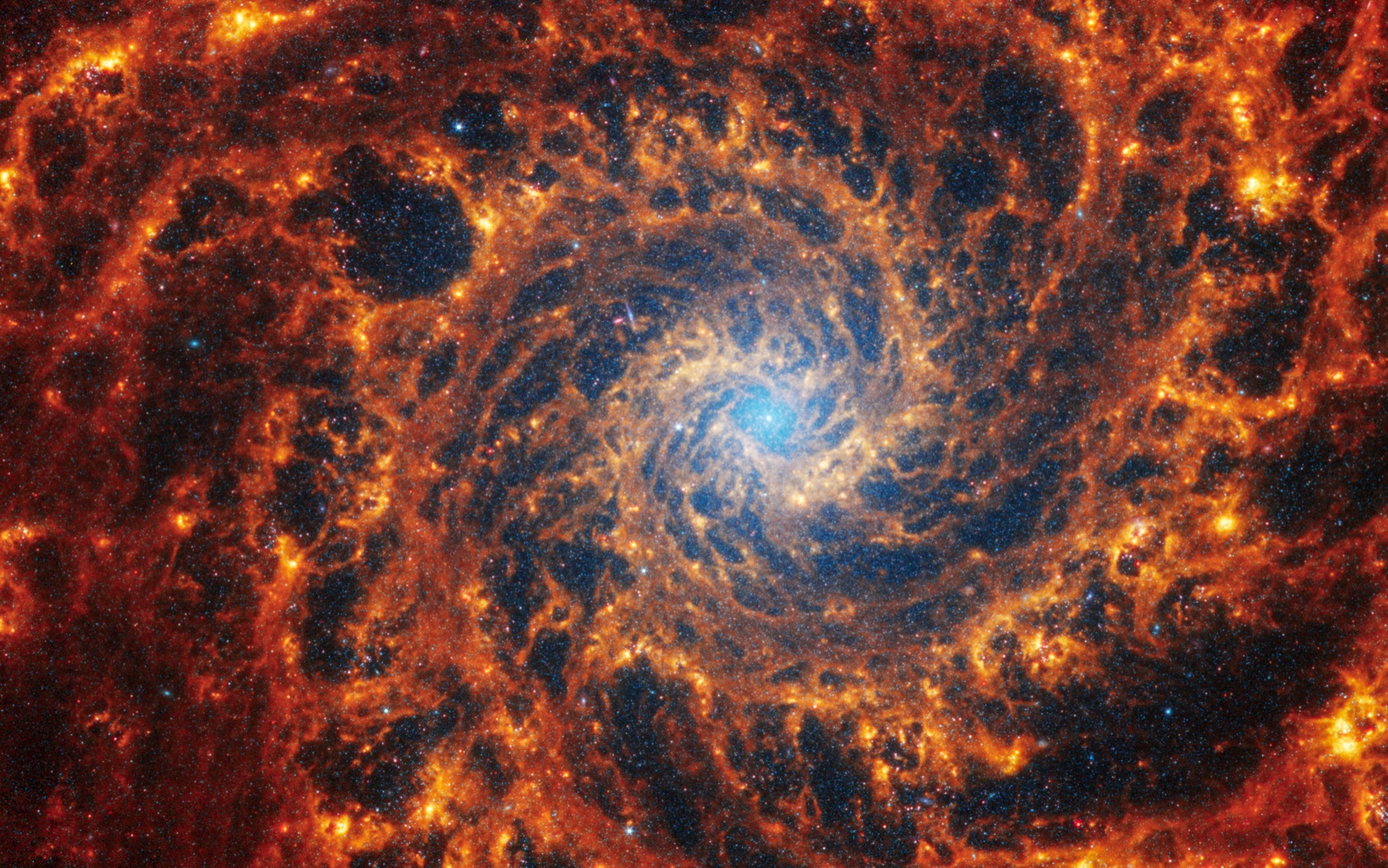 Webb view of the face-on spiral galaxy NGC 628
